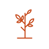 печать на натуральных и синтетических тканях